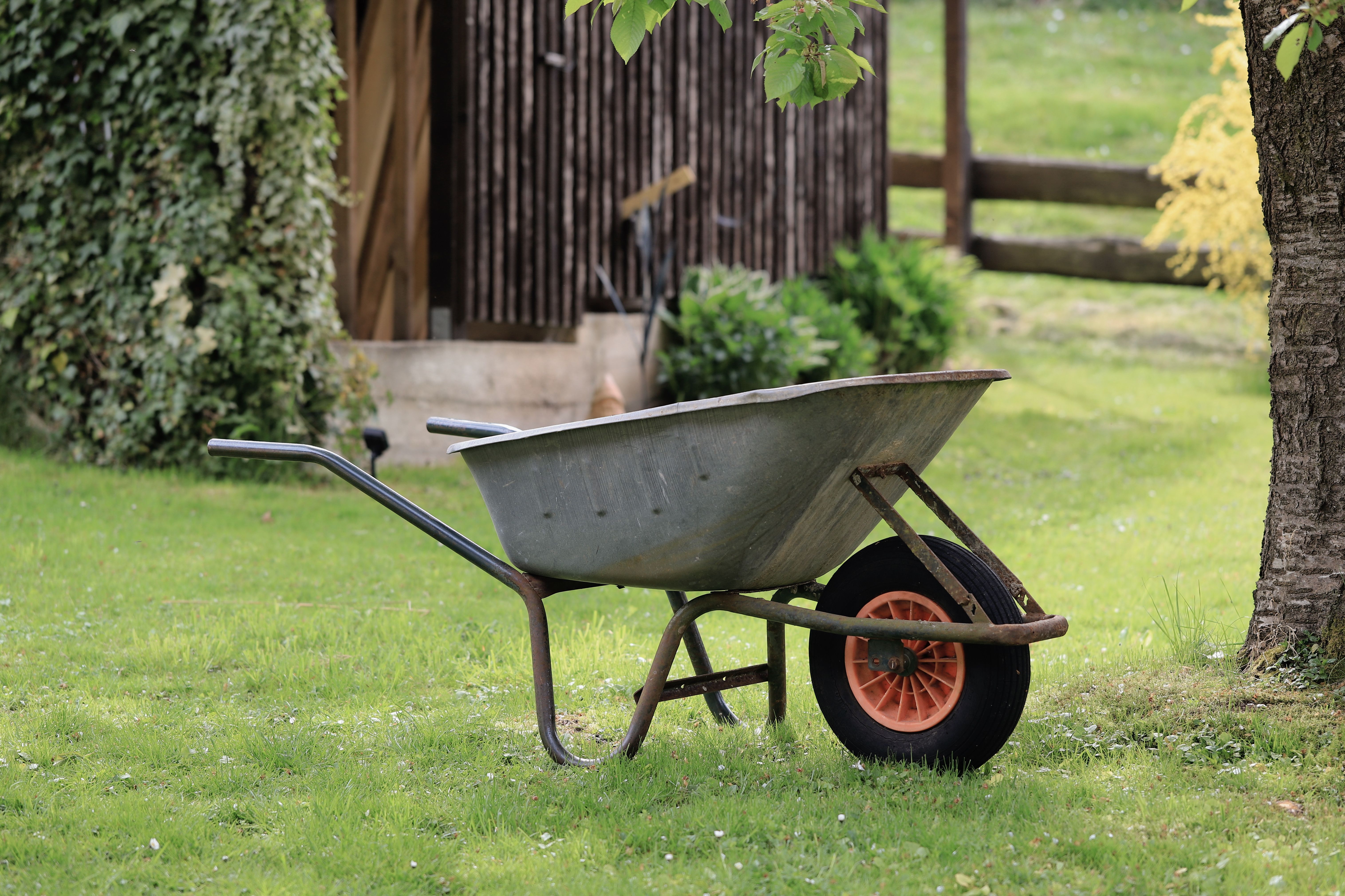 A wheelbarrow and gardening tools sitting in a landscaped backyard
