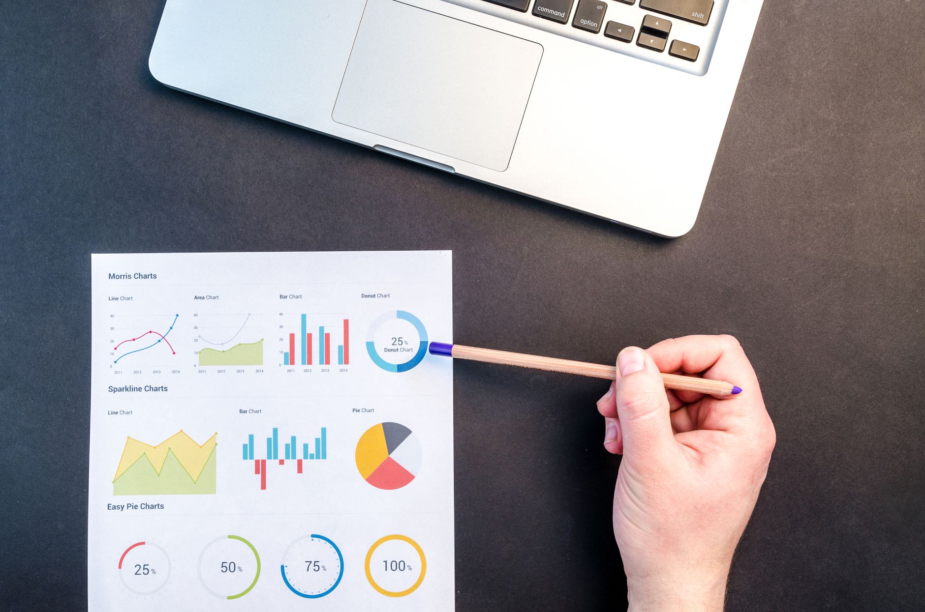 Local Search Engine Optimization Company in Barrie: How to Pick One That Delivers