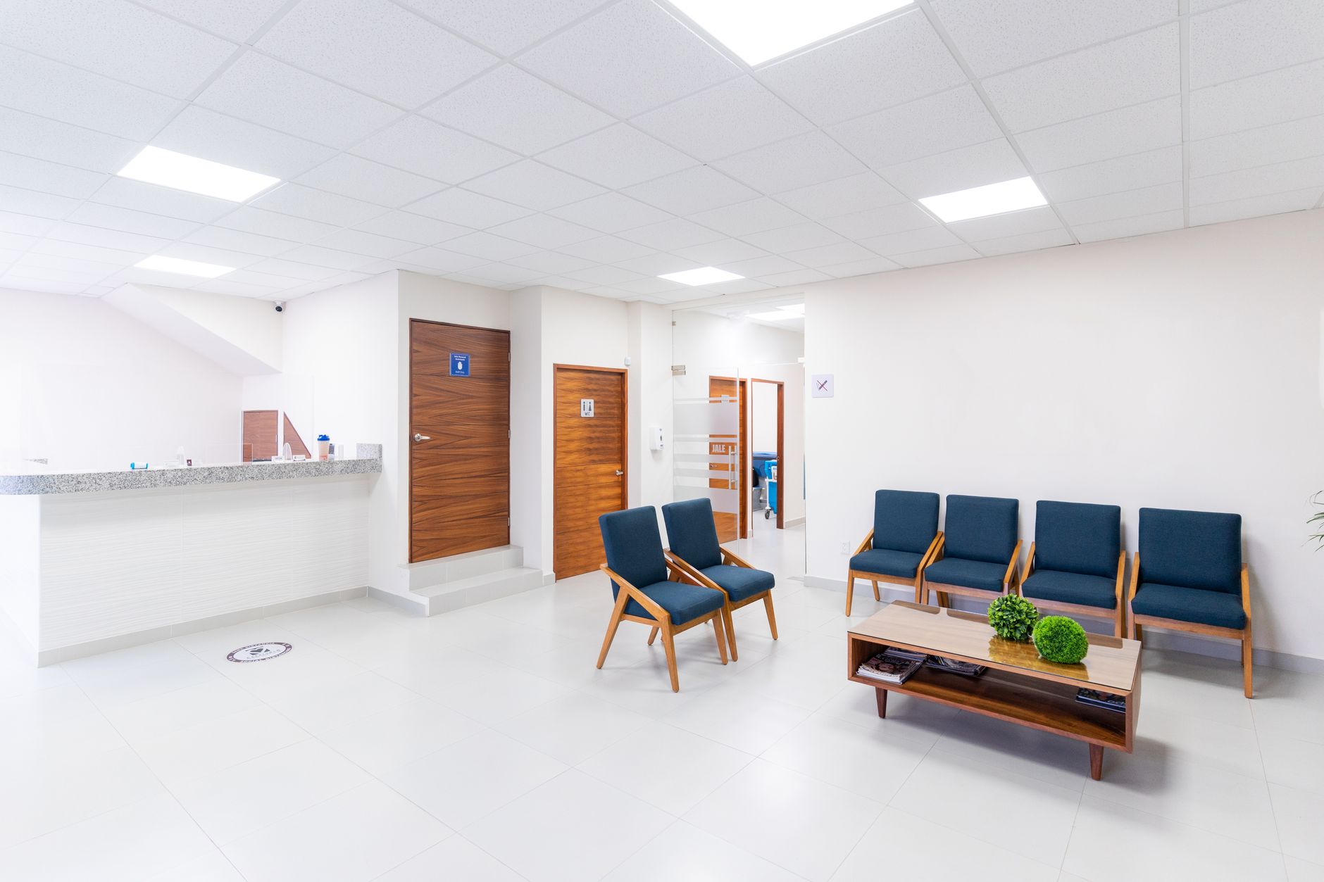 A clean, well-kept clinic waiting room — the kind of space a complete Google Business Profile brings new patients into