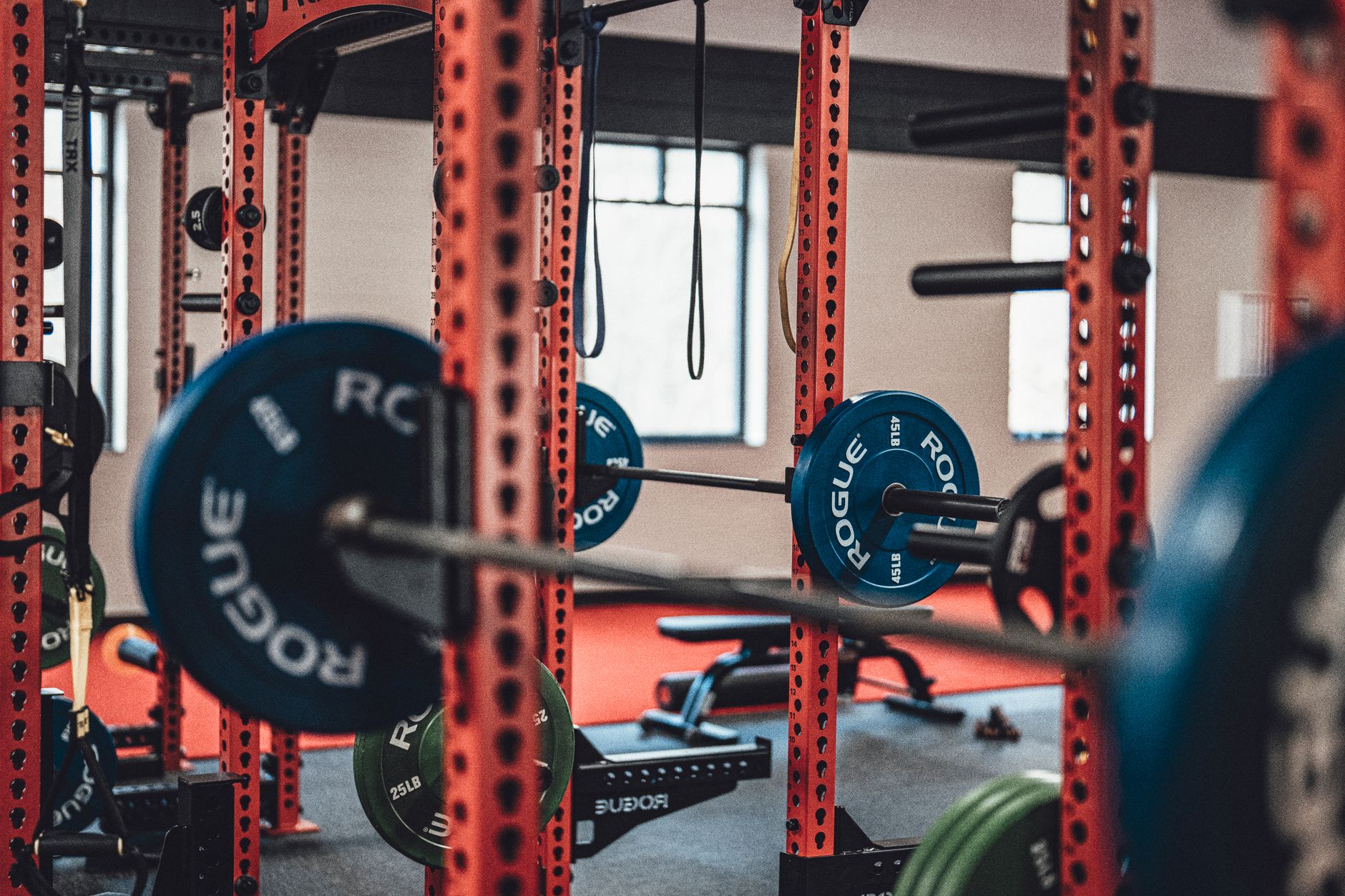 A gym weight room with barbells and weight plates racked on power cages