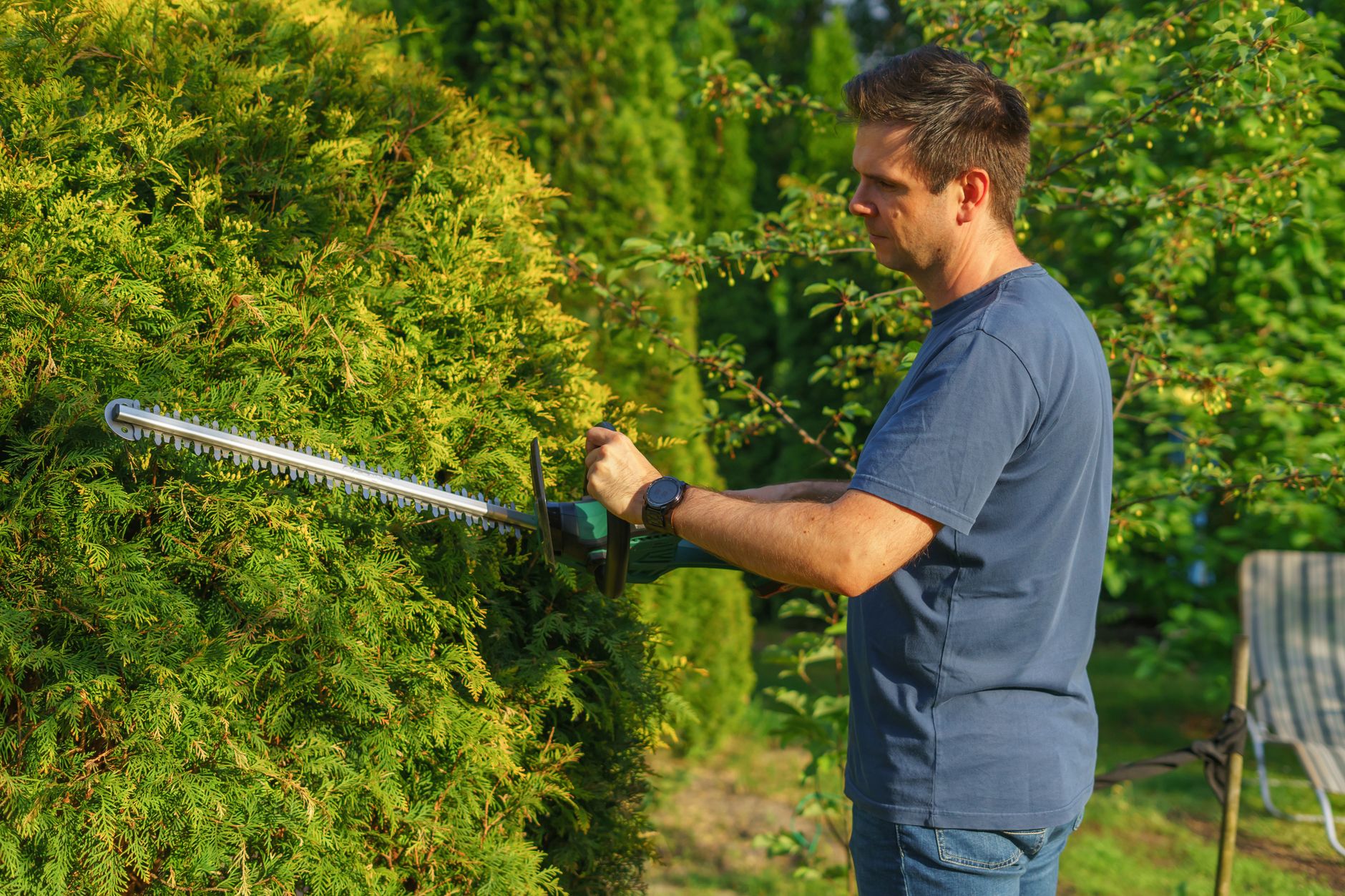 A gardener trimming a hedge with power shears: the kind of finished-job photo that belongs on a landscaper's Google Business Profile