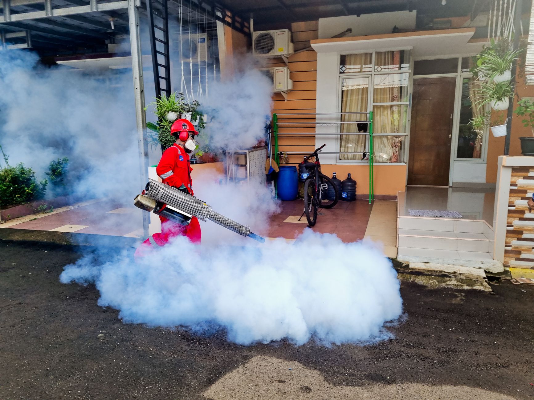 Fumigation smoke drifting through a yard during a pest control treatment, the kind of job local SEO for pest control companies in Wasaga Beach should help homeowners find